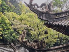 -广州市白云山风景名胜区
