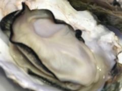 -千岛蚝高压锅生蚝·人参火锅(白云万达店)