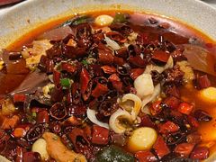 磁器口毛血旺-蔴将·川菜(黄龙万科店)