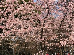 景点-静安雕塑公园