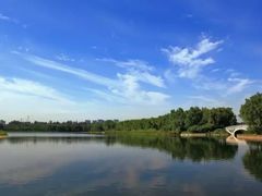 -大兴滨河森林公园