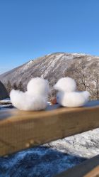 -大秃顶子山