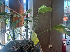 -Wagas沃歌斯(星荟中心店)