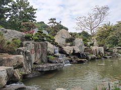 -东莞植物园
