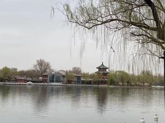 -宝瑞门钉肉饼店