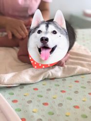 -仕馨·优若家月子会所(萝岗店)