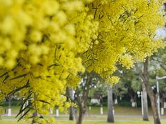 -厦门国家会计学院