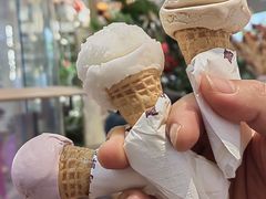 -高汐尔手工鲜冰淇淋(恒隆广场店)