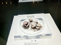 -青藏高原自然博物馆