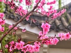-黄村公园