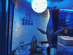 -小天鹅戴斯酒店鲸鲨百汇创作料理