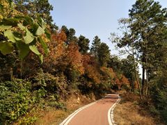 -敬亭山风景名胜区