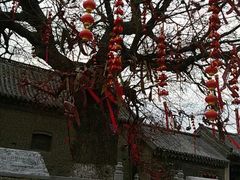 android_upload_pic-杨家埠民间艺术大观园