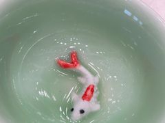 -寻味顺德·珍之宝酒楼(银钻店)