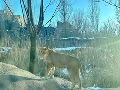 -北京野生动物园