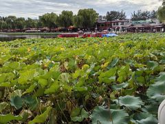 -小王府(什刹海店)