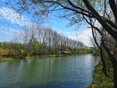 -溱湖国家湿地公园