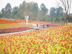 -天府芙蓉园