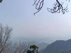 -天目山大树王景区