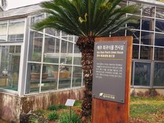 -新罗免税店