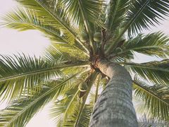 -珠海金沙滩