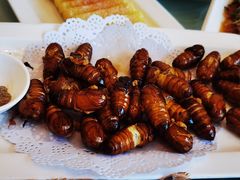 -华盛丰温州大排档(东三环南路店)