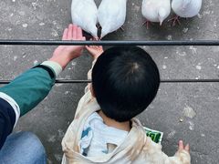 -绵阳人民公园(涪城区)