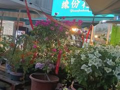 -星光城