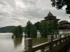 -顺峰山公园