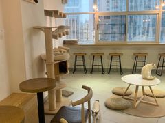 -Heymao猫咖.咖啡厅(东门店)