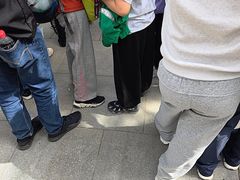 -秦始皇帝陵博物院-丽山园