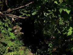 -秦岭终南山世界地质公园翠华山景区