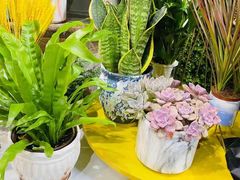 -何兮花店·气球派对鲜花店(马桥银春路万科城店)