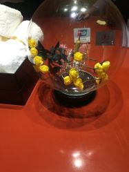 -奈瑞儿美颜塑身SPA