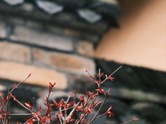 -天柱山风景区