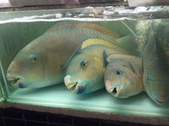 -班赞海鲜市场