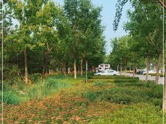 -东郊湿地公园