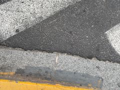-陈记甜品窝(中山北路店)