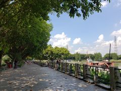 -黄埔古港