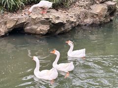 -兰亭风景区