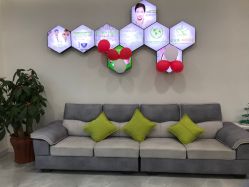 -莱可美科技美肤