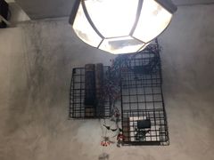 -春风·有糖(崇宁路店)