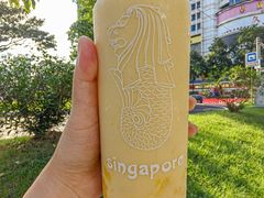 -新加坡斯味洛·鲜奶茶(石牌东店)