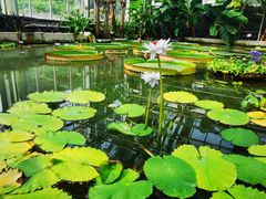 -国家植物园南园