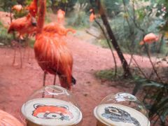-ZOO COFFEE动物园咖啡(红山森林动物园店)