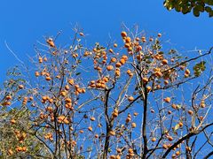 -国家图书馆·古籍馆