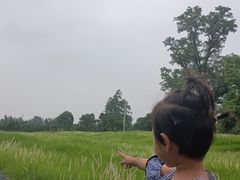 -汉长安城未央宫国家考古遗址公园