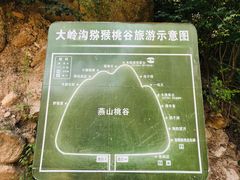 -大岭沟猕猴桃谷风景区