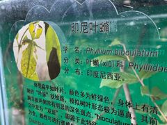 -上海大自然野生昆虫馆(东方明珠·爬宠昆虫探索中心)