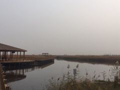 -白洋淀景区
